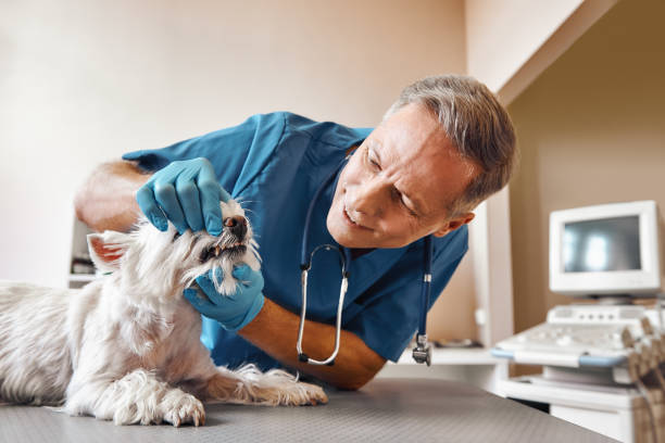 Best Emergency Root Canal Treatment in Madison, FL